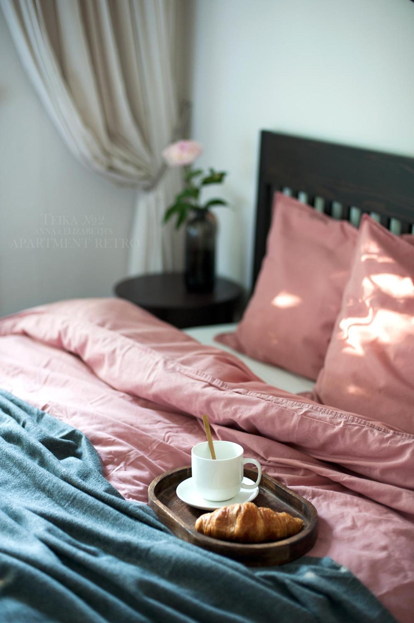 Teika No 2 Apartment-retro On Brivibas Street-free Parking Appartement Riga